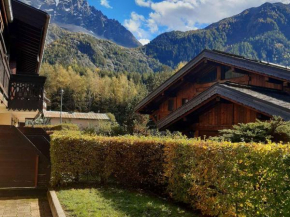 Appartement charme avec terrasse, vue Mont Blanc, parking, 3/4 pers - FR-1-517-65